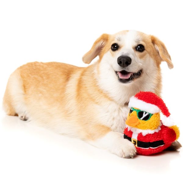 15% OFF: FuzzYard Christmas Quacker Plush Dog Toy For Cheap