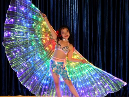 LED Butterfly Wings Halloween Online Sale