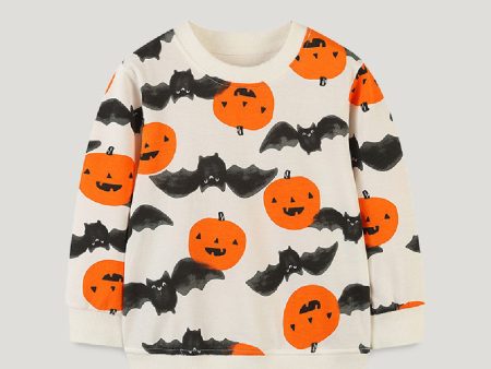 Sweater Children s Fashionable Supply