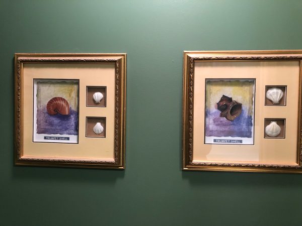 3 Piece Framed Shell Art Online