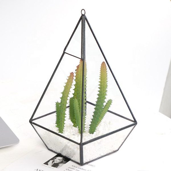 Succulent Plants Geometric Cheap