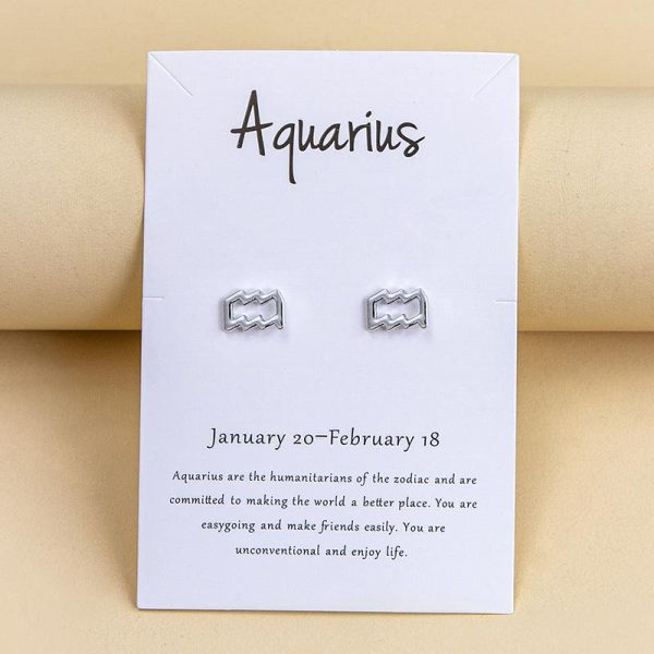 Twelve Constellation Earrings Online Hot Sale