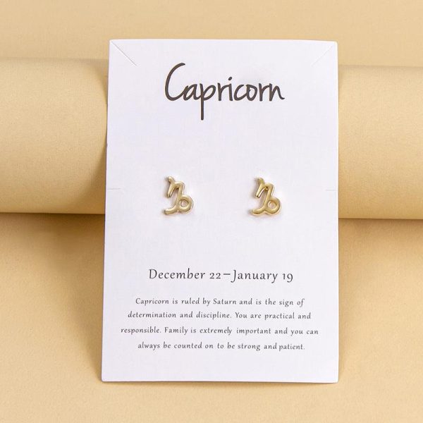 Twelve Constellation Earrings Online Hot Sale