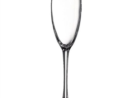 Tulip Champagne Flute 6oz Cheap