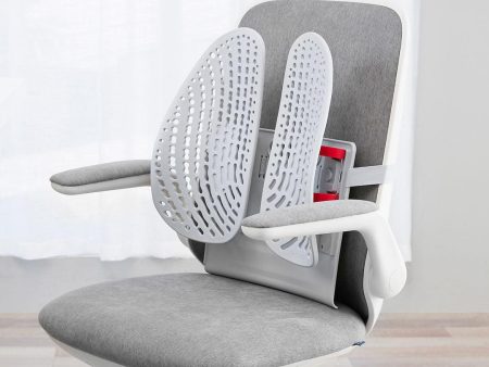 Adjustable Car Chair Back Sale