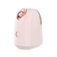 Beauty Steamer Online now