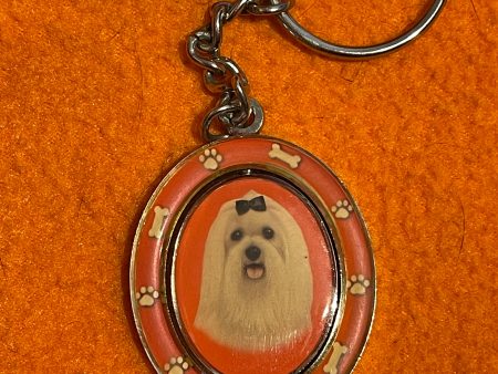 “Maltese” Spinning Keychain Supply