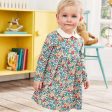 Baby Girls Dress For Children Supply