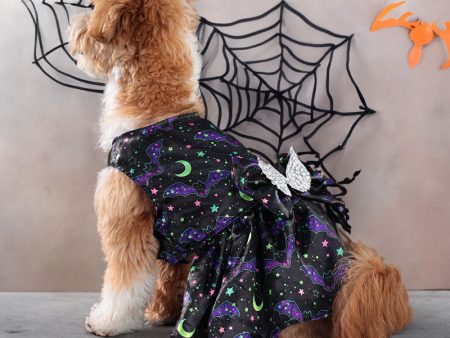 Angel Wings Pet Costume Hot on Sale