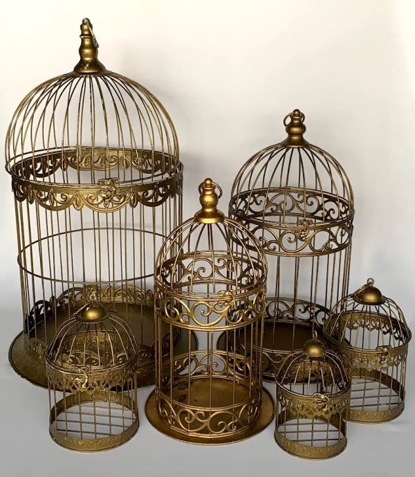 Birdcage gold 8  x 5  Cheap