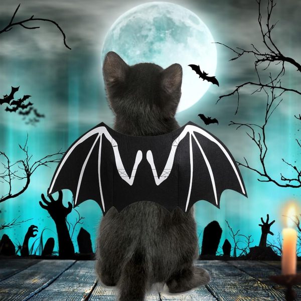 Dog Halloween Costumes Dog Bat Online Sale