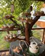 6 Tier wooden cake stand with table & tablecloth Fashion