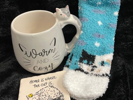 “Warm & Cozy” Cat Time Online now