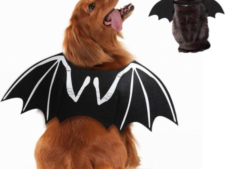 Dog Halloween Costumes Dog Bat Online Sale