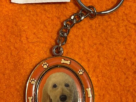 “Labradoodle” (yellow) Spinning Keychain For Sale