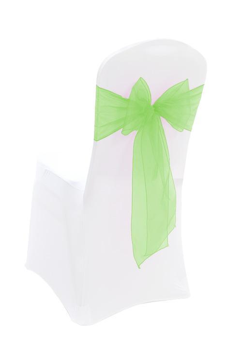 Apple Green Organza Sash Sale