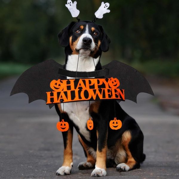 Dog Halloween Costumes Dog Bat Online Sale