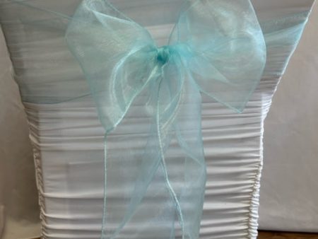 Baby Blue Organza Sash Hot on Sale