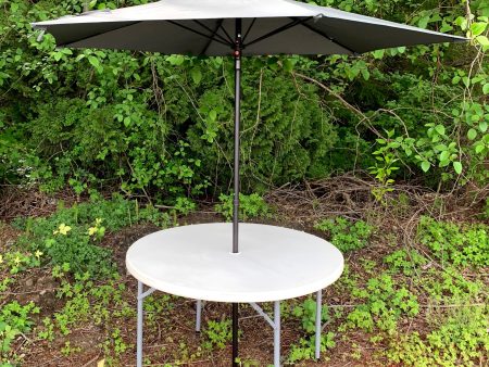 Table Umbrella Sale