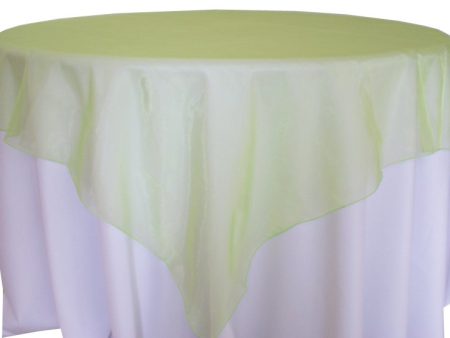 Apple Green Organza Overlay 70 x 70  For Discount