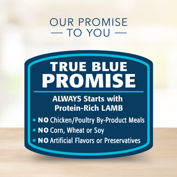 Blue Buffalo Basics Skin & Stomach Care Grain-Free Lamb & Potato Adult Canned Dog Food For Discount